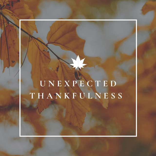 Unexpected Thankfulness